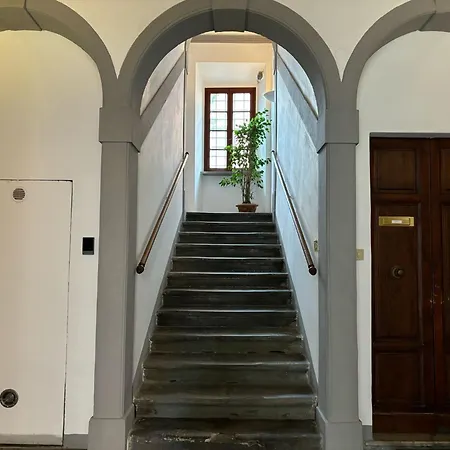 Window To The Tower بيزا